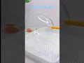 Make Bubble Solution at Home and Blow HUGE Bubbles