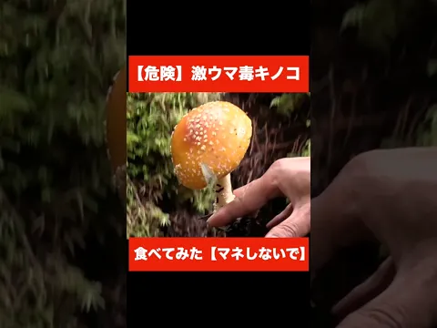🍄毒キノコを食べる🍄
