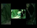 Download Lagu X/1999 Anime Aesthetic 1996