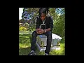 Download Lagu (FREE) Polo G Type Beat \