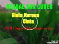Lagu REGGAE SKA | Cinta Karna Cinta Full Clips