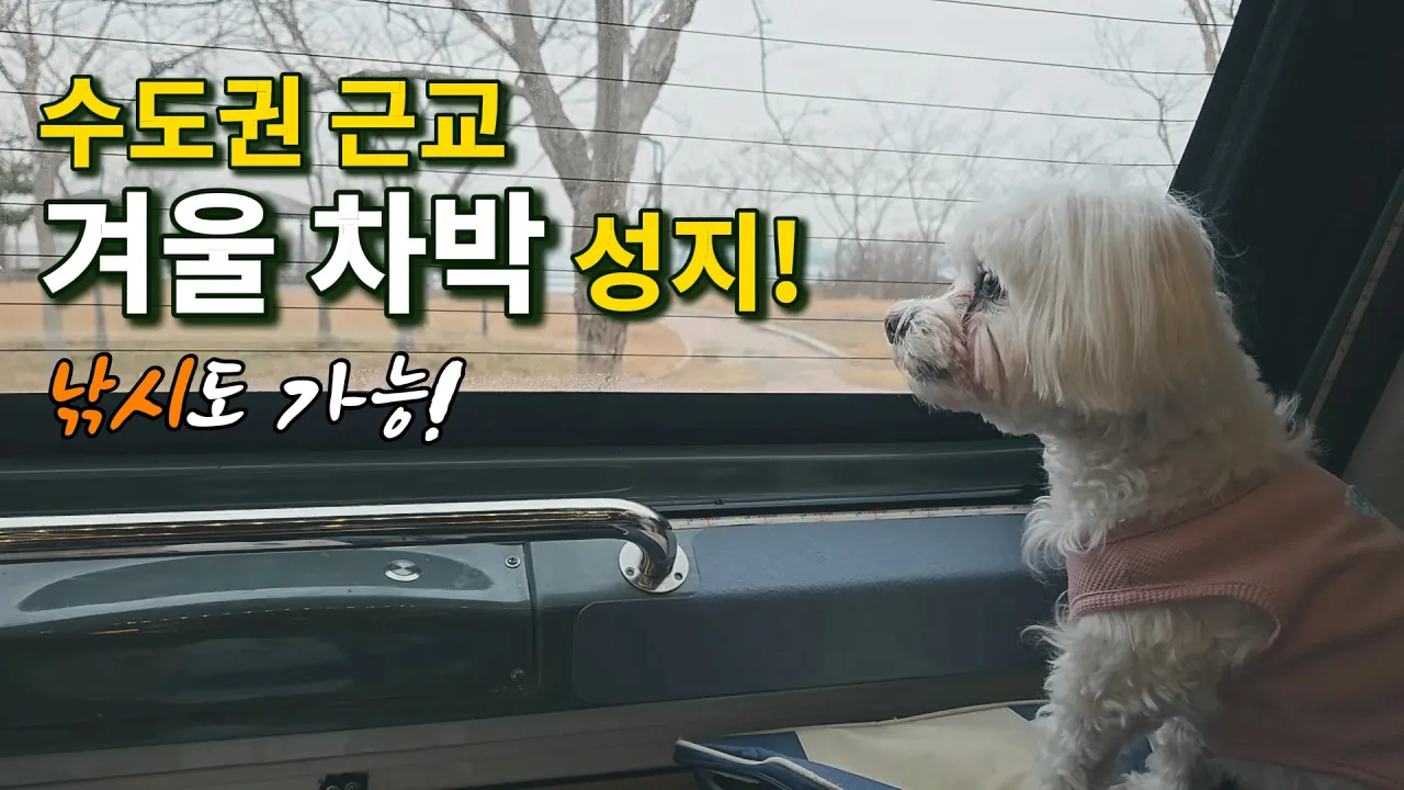 수도권 근교 겨울 차박 성지! 12,000원의 행복! 바다 위 데크길과 낚시까지 완벽한 고대지구 근린공원 차박 サムネイル