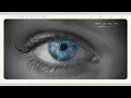 Taylor Swift - All You Had To Do Was Stay (Taylor's Version) (Lyric Video)