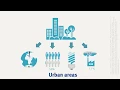 Module 1 - Global urban environmental challenges