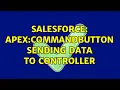 Salesforce Apex CommandButton sending data to controller 3 Solutions