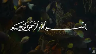تلاوة رهيبة لسورة يس بصوت الشيخ عبدالباسط عبدالصمد Surah Yasin Abdulbasit Abdussamad  تلاوة رهيبة لسورة يس بصوت الشيخ عبدالباسط عبدالصمد Surah Yasin Abdulbasit Abdussamad