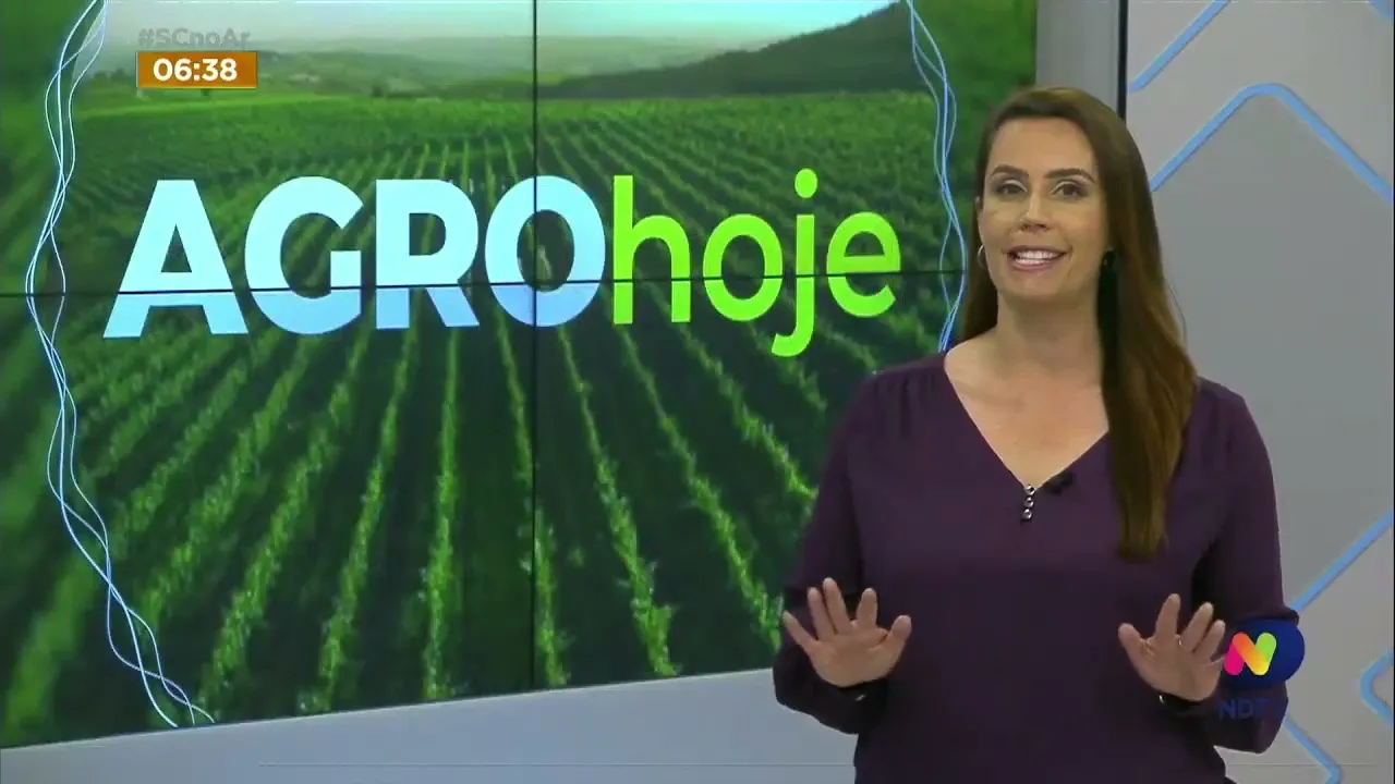 Conheça a produção de açúcar mascavo em larga escala em Paiol, no Oeste de SC