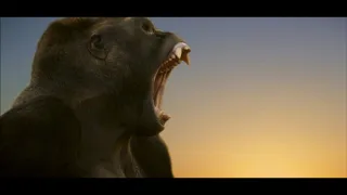 Gorilla Roar Sfx 