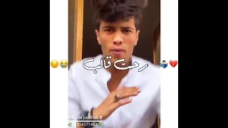 حالة واتس دي حبيبتي شايلة ضميرها تيك توك 