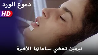 نيرمين تقضي ساعاتها الأخيرة 59