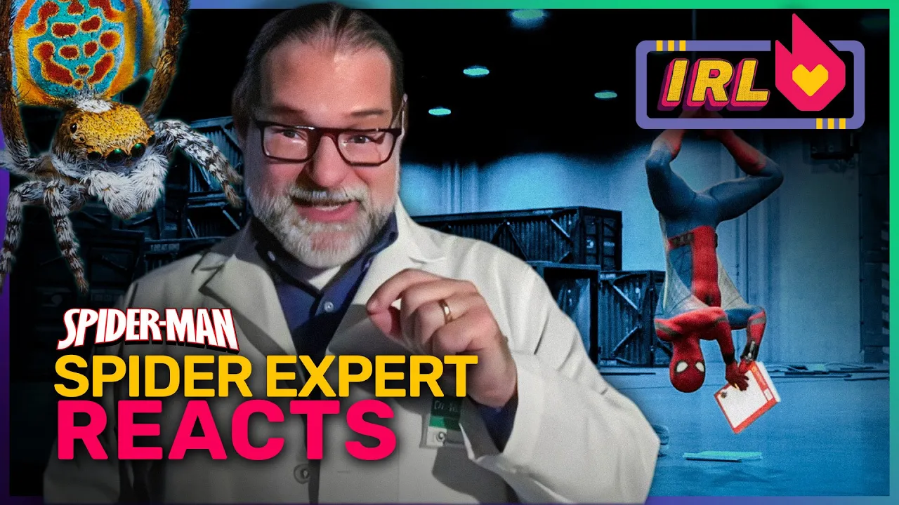 Spider Expert Breaks Down Spider-Man Movies | Fandom IRL