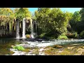 Download Lagu Relaxing recitation of Surah Al-Insan  Abdullah Al-Matrood سورة الانسان عبد الله المطرود تلاة جميلة