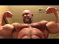 Hairy Bear Muscle Flexing