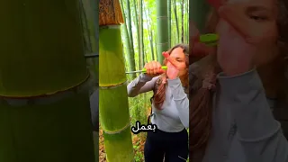 كيف تعيش في الغابة بدون ماء  كيف تعيش في الغابة بدون ماء