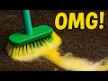 Download Lagu This URINE Soaked Rug Was A Real Challenge For My Nose 👃! Satisfying ASMR Carpet Cleaning.😷😒