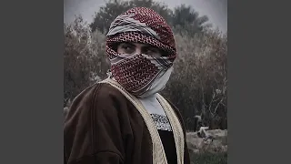 قمر بني هاشم دندنها