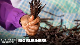 vanilla is the 2nd most expensive spice so why do madagascars farmers live in poverty