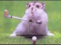 hamster song and dance