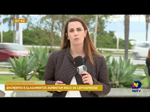 Período de chuvas: enchentes e alagamentos aumentam risco de leptospirose