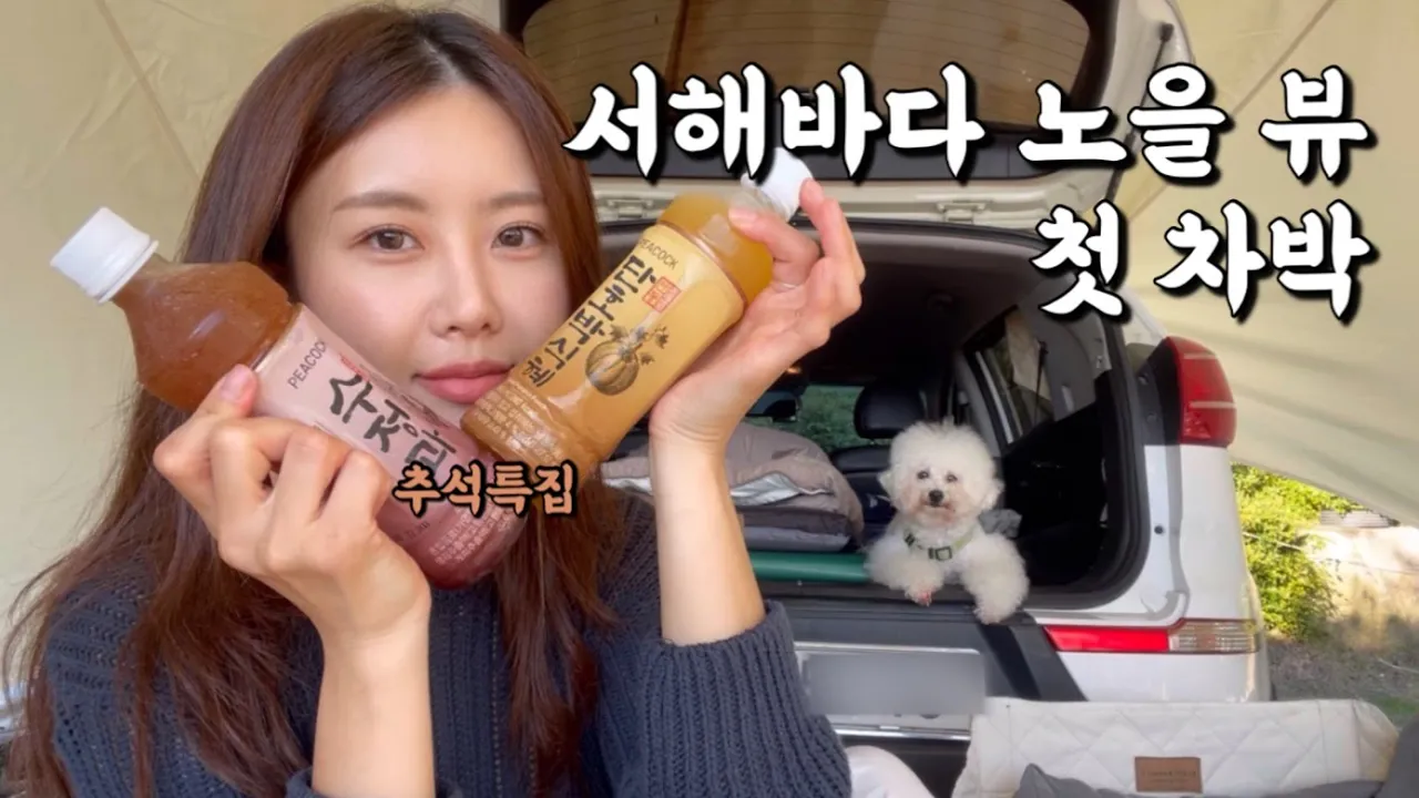 추석맞아 집에서 한복 챙겨온 여자 솔로 유튜버 / 차 사고 처음으로 차박 해봤어요 サムネイル