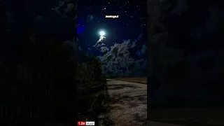 خذ لحظة من يومك واترك قلبك يعيش مع كلام الله جل جلاله حسام عبد الباقي 