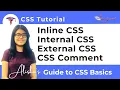 CSS Tutorial Inline Internal External CSS CSS Comments Alisha s Guide to CSS Basic - EP1