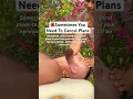 It s Okay To cancel Plans To Prioritize Your Well-Being