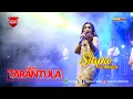 Download Lagu SIAPA // IIS MONICA // NEW TARANTULA //IDRISJAYA PRODUCTION