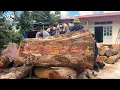 Can't Believe This Guy Can Lift a 2645 Pound Tree Trunk and Build a House on It!!! - Part 1...