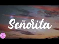 Shawn Mendes - Señorita (Lyrics)