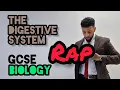 Science Raps GCSE Biology - The Digestive System