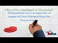 Connotation and Denotation