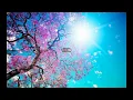 Bonobo - Kong