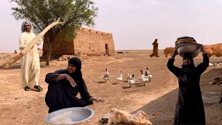 Traditional Desert Village Life In Iran Arab Lifestyle Rural Living In Desert Mud House 