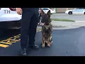 New K-9 unit for Dubuque Police
