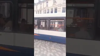           دندنها