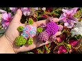 Rainbow Loom Baby Turtle - Loomigurumi