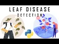 Leaf Disease Detection Python OpenCV Numpy Coder21