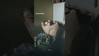 اليسا انت اللي شاغلني اعلان وي رمضان ٢٠٢٤ 