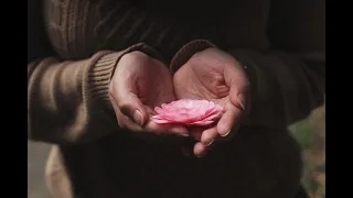 the soul lab a light that dwelt within mystical chillout music official audio 