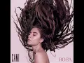 Querida Rosa - Cami