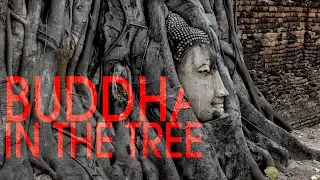 Buddha in the Tree – Ten Days in Thailand 7