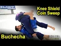 Download Lagu Knee Shield Coin Sweep by Marcus Buchecha Almeida