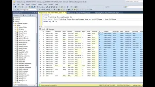 MS SQL tutorial on inserting missing data into table