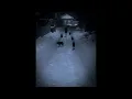 Yeah Yeah Yeahs - Wolf