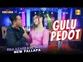 Download Lagu Fira Azahra ft Brodin New Pallapa - Gulu Pedot (Official Live Music)