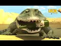 Download Lagu Guard Croc | Leon the Lion | 155' Compilation | Crazy animals