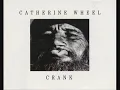 Catherine Wheel - Pleasure