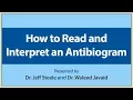 How to Read and Interpret an Antibiogram