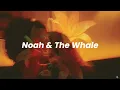5 Years Time - Noah And The Whale [Español+Lyrics]
